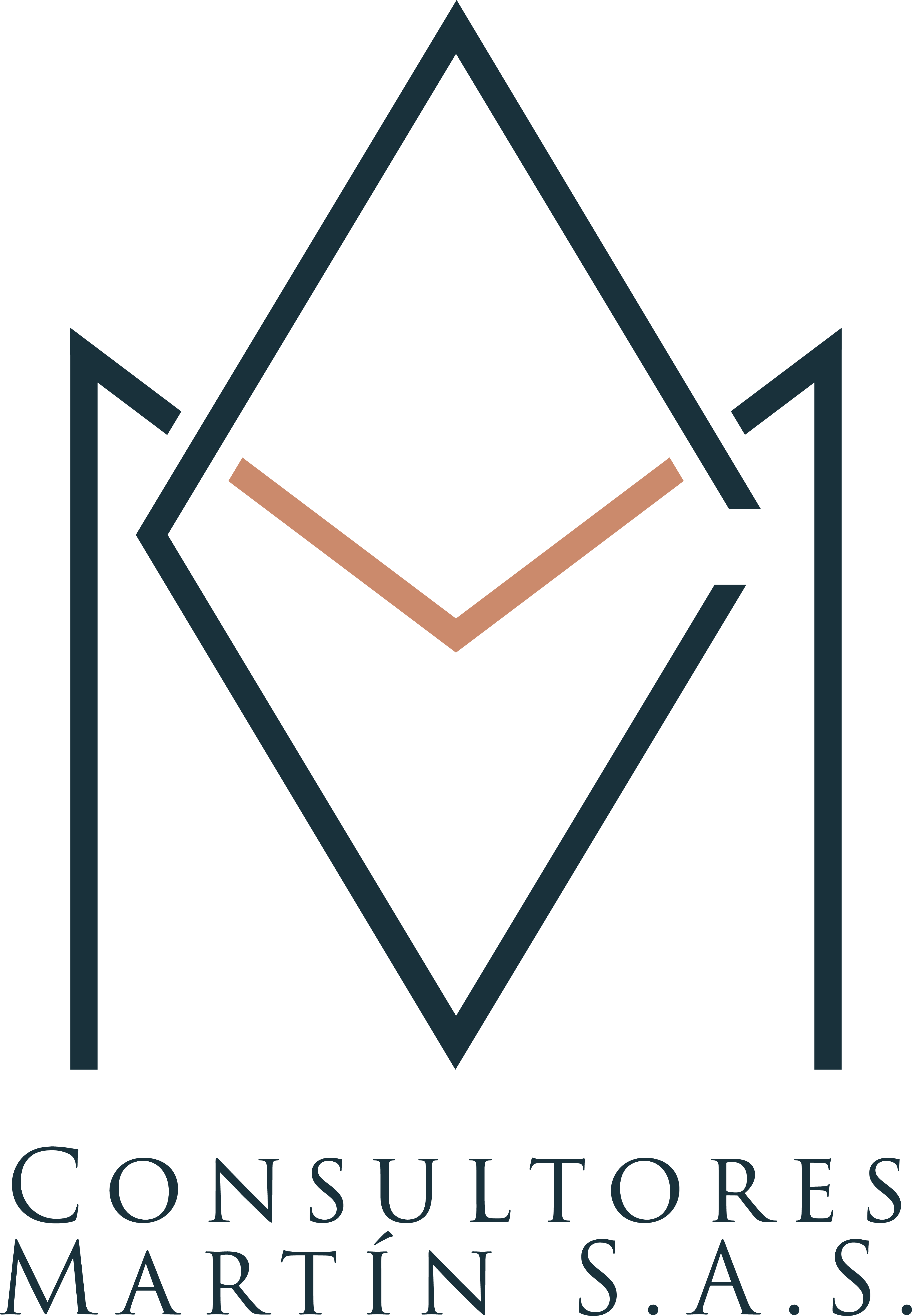 Consultores Martín S.A.S.